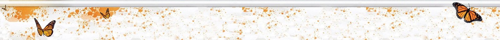 cabecera-neutra-servicios-web-papillon-mv-643x96