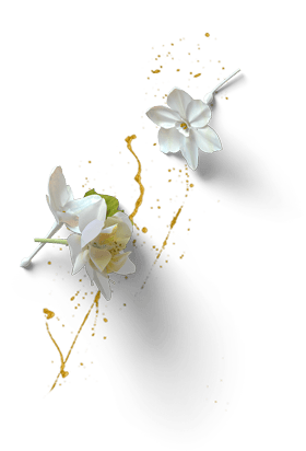 cherry-buds-top-3