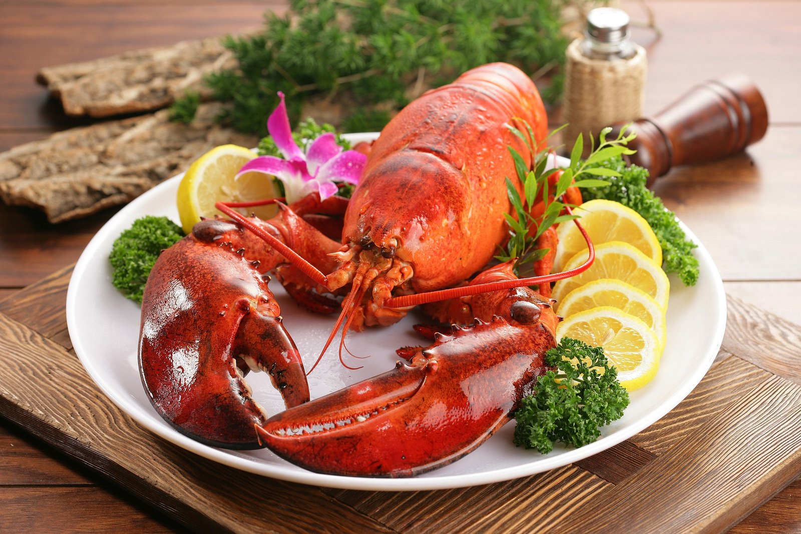 lobster-4952603_1920